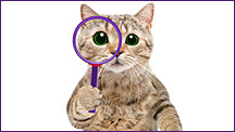E3-Consultancy-Research-Analyst-Internship